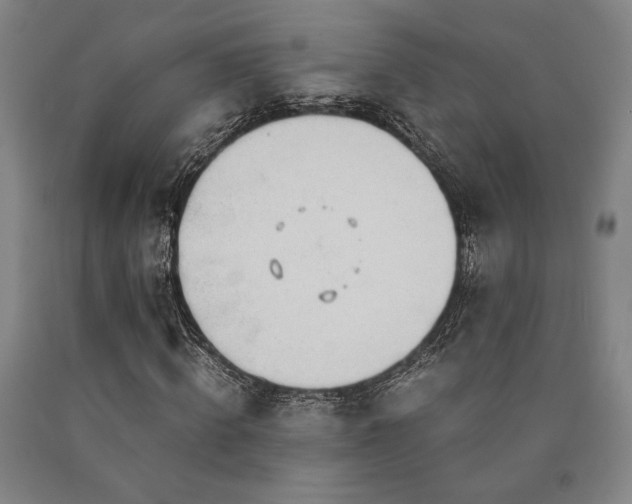 X0000090900820200707301411