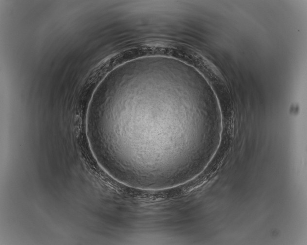 X0000090900821200707301411