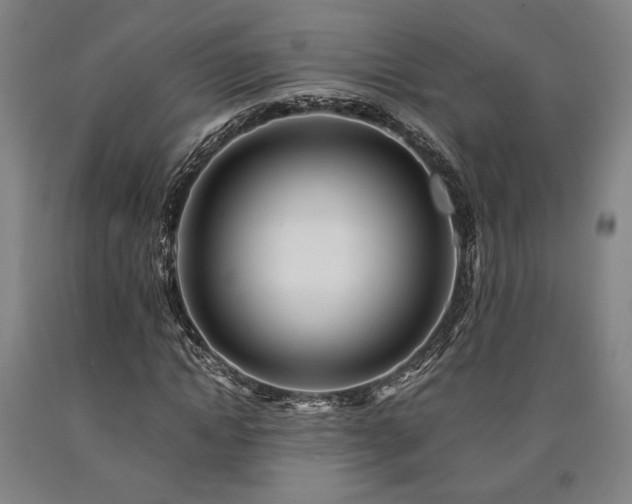 X0000090900822200707301411