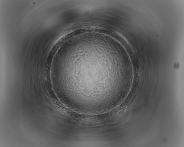 X0000090900823200707301411