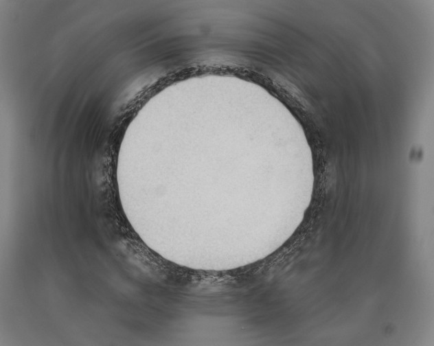 X0000090900824200707301411