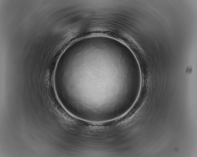 X0000090900825200707301411