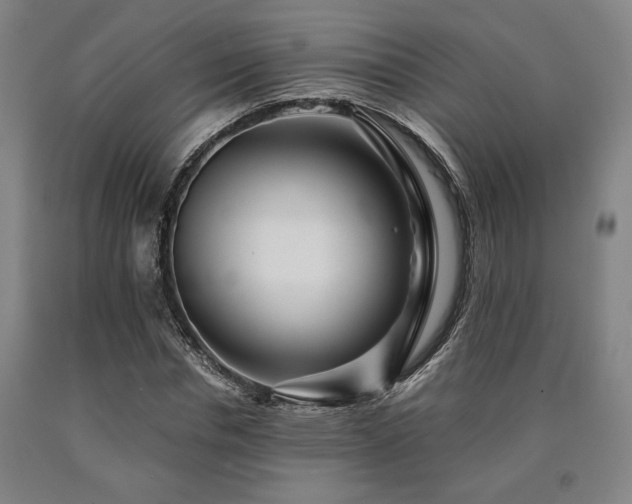 X0000090900826200707301411