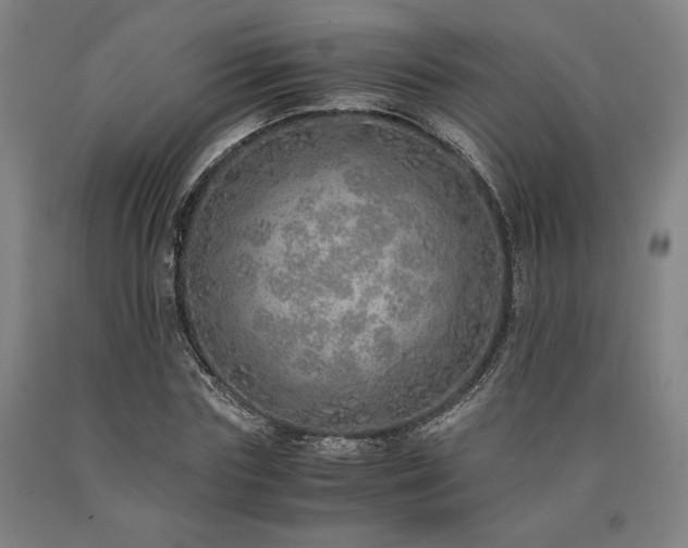 X0000090900827200707301411