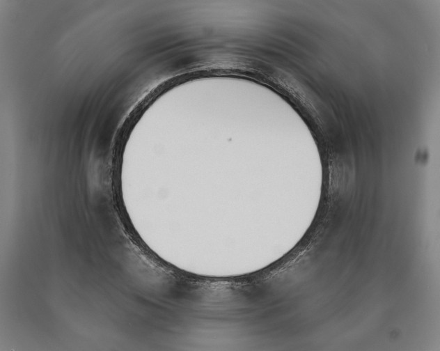 X0000090900828200707301411