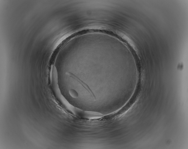 X0000090900829200707301411