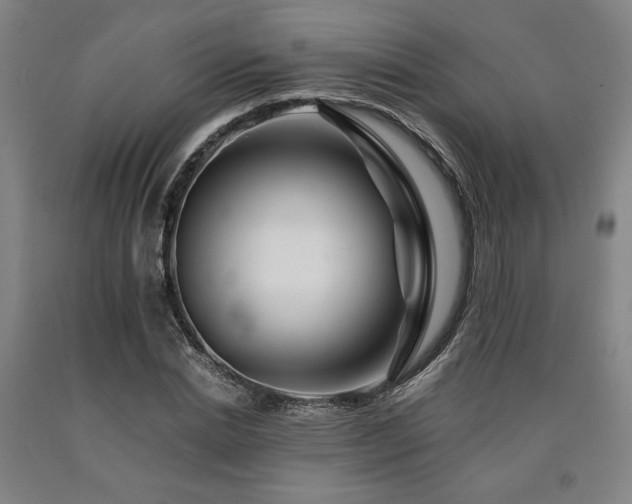 X0000090900830200707301411