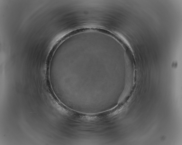 X0000090900831200707301411
