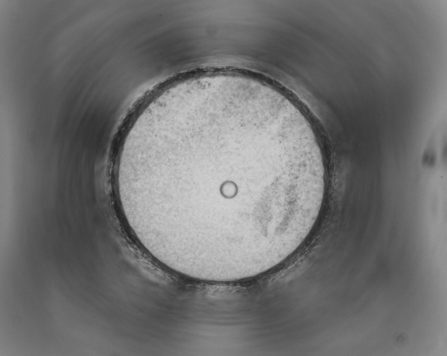 X0000090900832200707301411