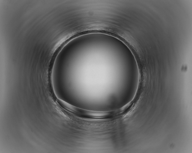 X0000090900834200707301411