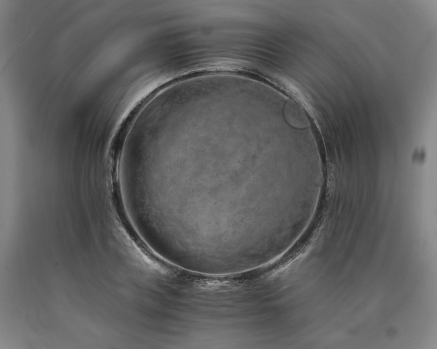 X0000090900835200707301411