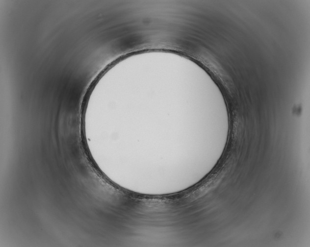 X0000090900836200707301411