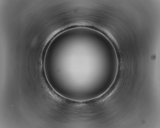 X0000090900837200707301411