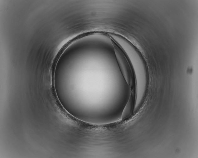 X0000090900838200707301411
