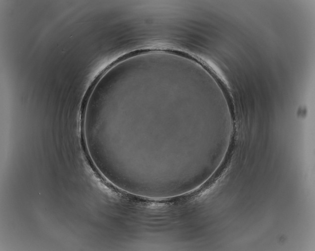 X0000090900839200707301411