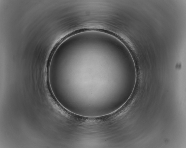 X0000090900840200707301411
