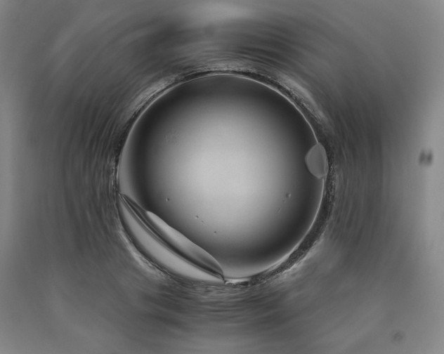 X0000090900841200707301411
