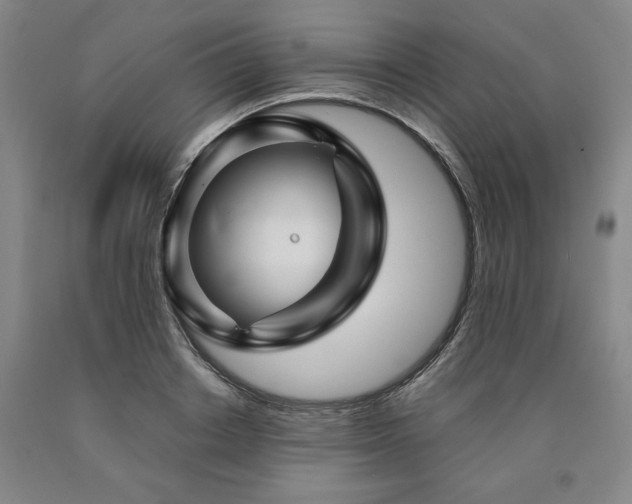 X0000090900842200707301411