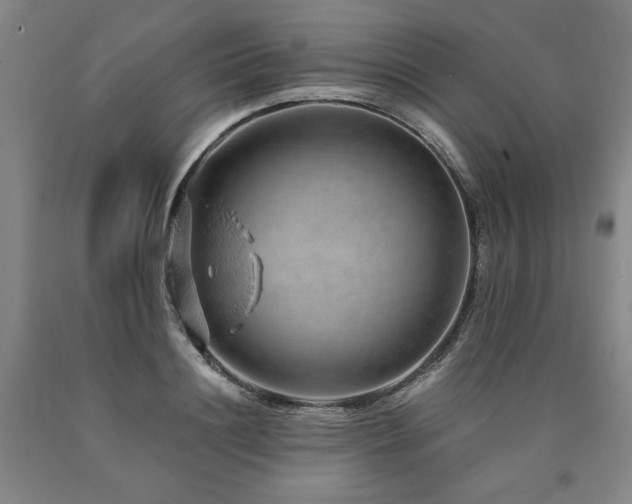 X0000090900844200707301411