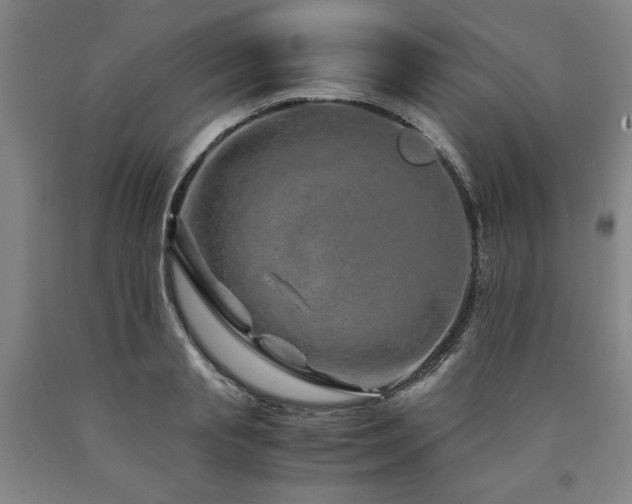 X0000090900845200707301411