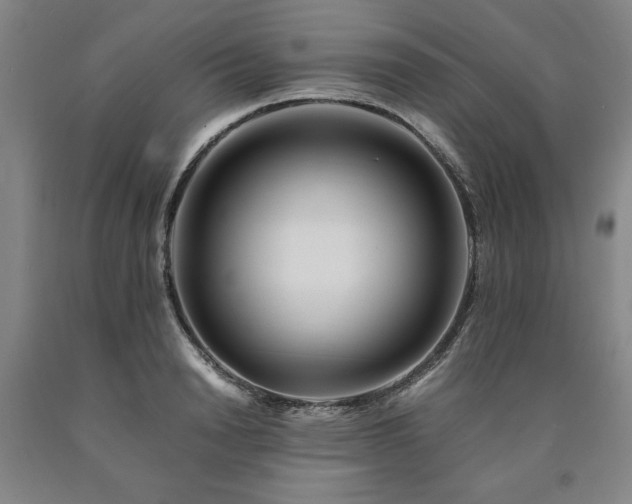 X0000090900846200707301411