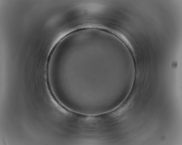 X0000090900847200707301411