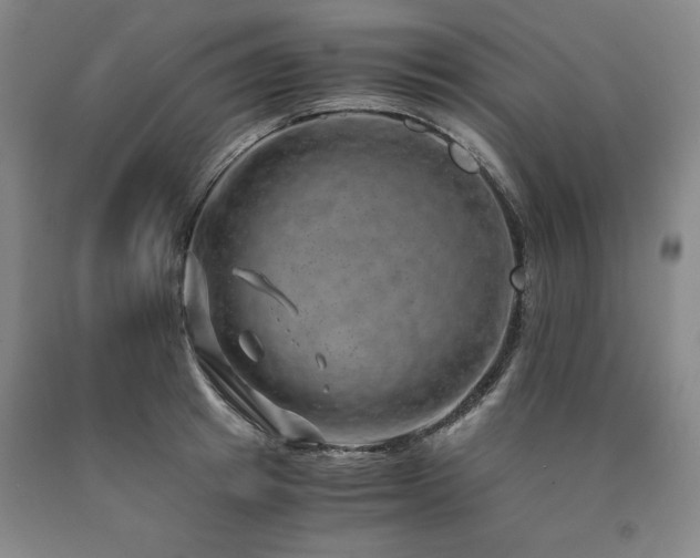 X0000090900849200707301411