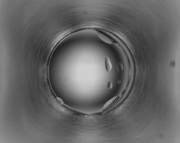 X0000090900850200707301411