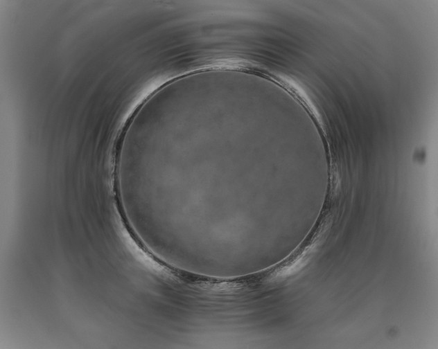 X0000090900851200707301411