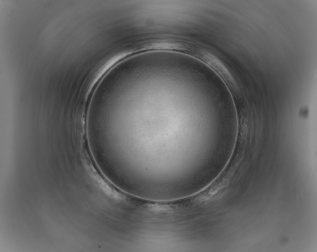 X0000090900852200707301411