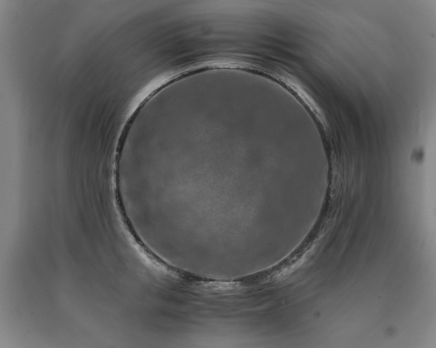 X0000090900853200707301411