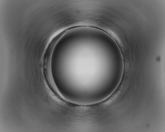 X0000090900854200707301411