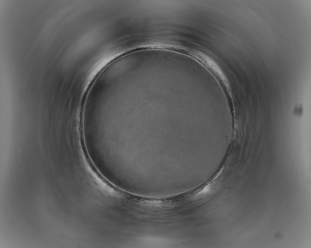 X0000090900855200707301411