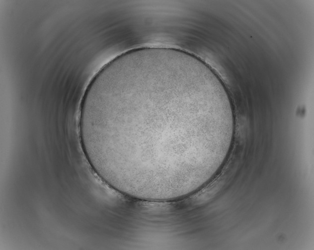 X0000090900856200707301411