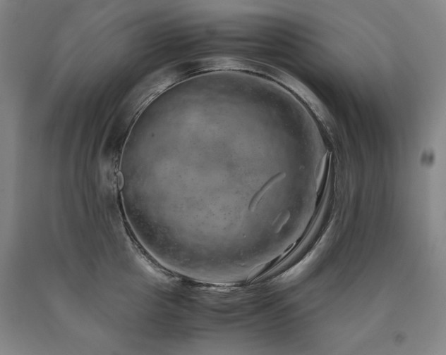 X0000090900857200707301411