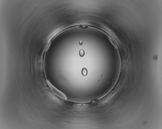 X0000090900858200707301411
