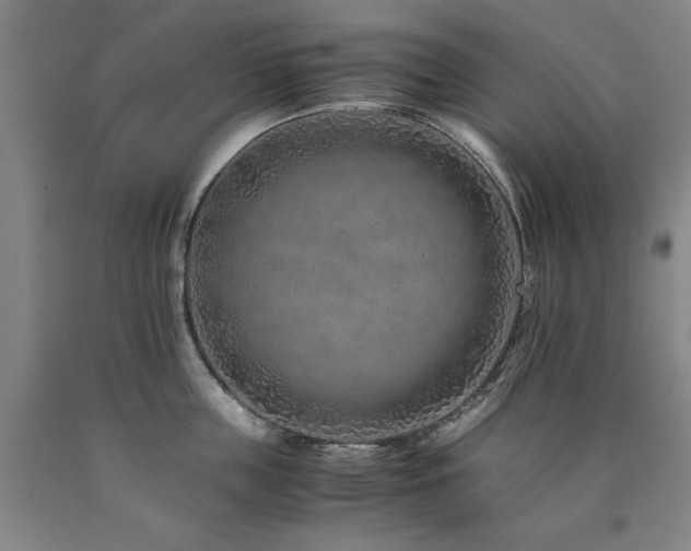 X0000090900859200707301411
