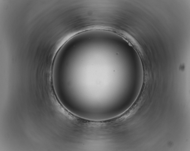 X0000090900860200707301411