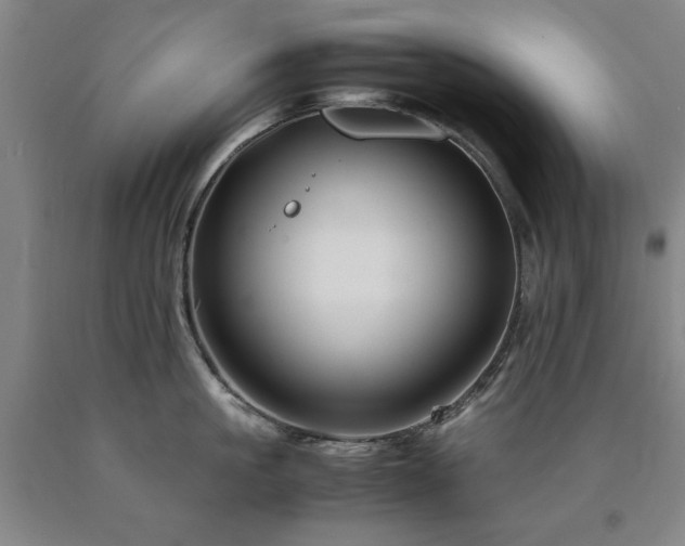 X0000090900861200707301411