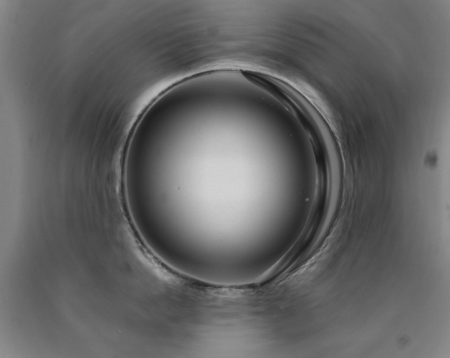 X0000090900862200707301411