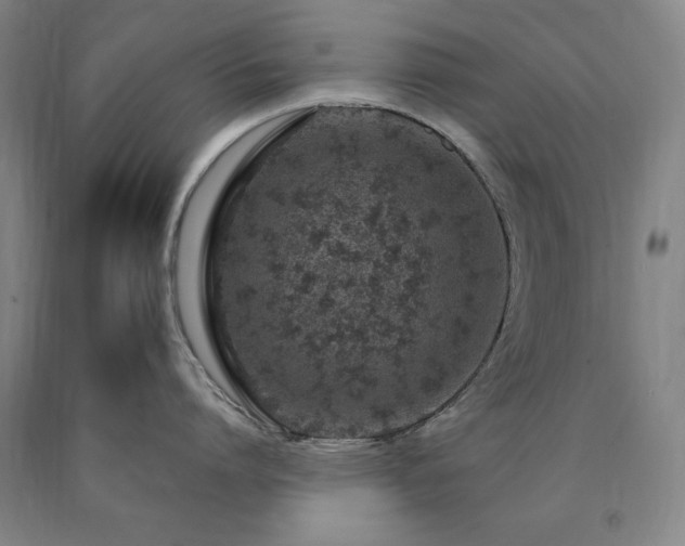 X0000090900864200707301411