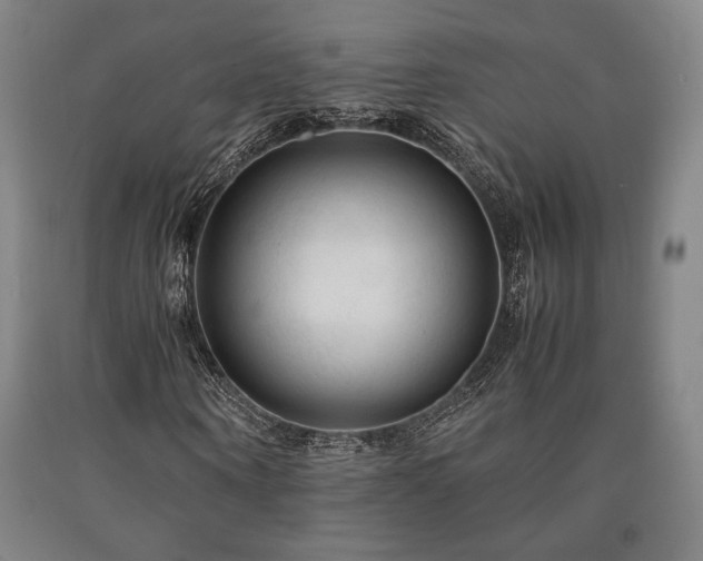 X0000090900866200707301410