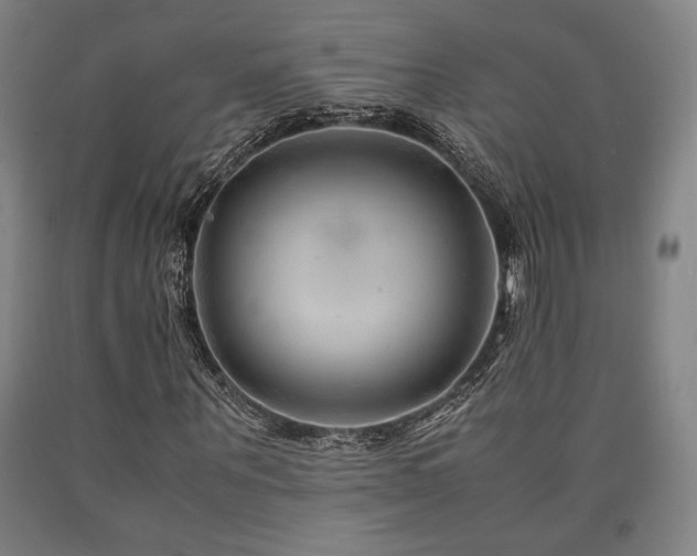 X0000090900867200707301410