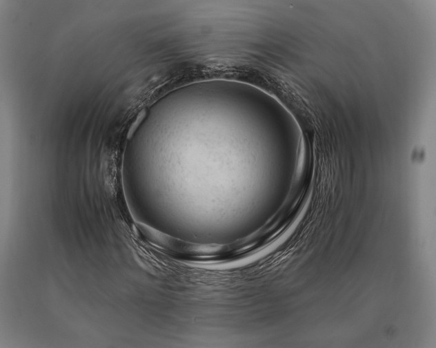 X0000090900868200707301410