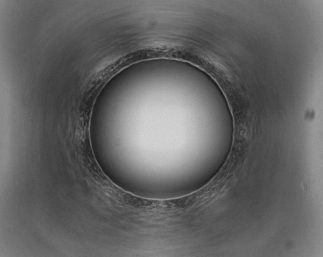 X0000090900869200707301410