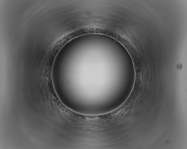 X0000090900870200707301410