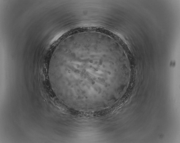 X0000090900871200707301410