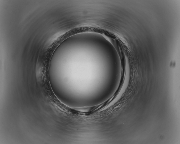 X0000090900872200707301410