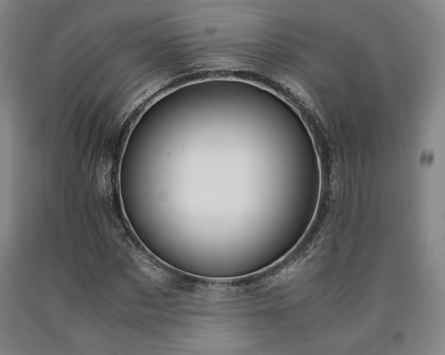 X0000090900873200707301410