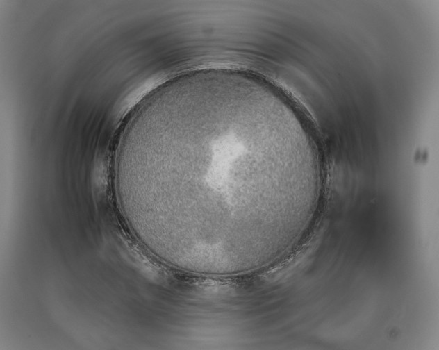 X0000090900874200707301410